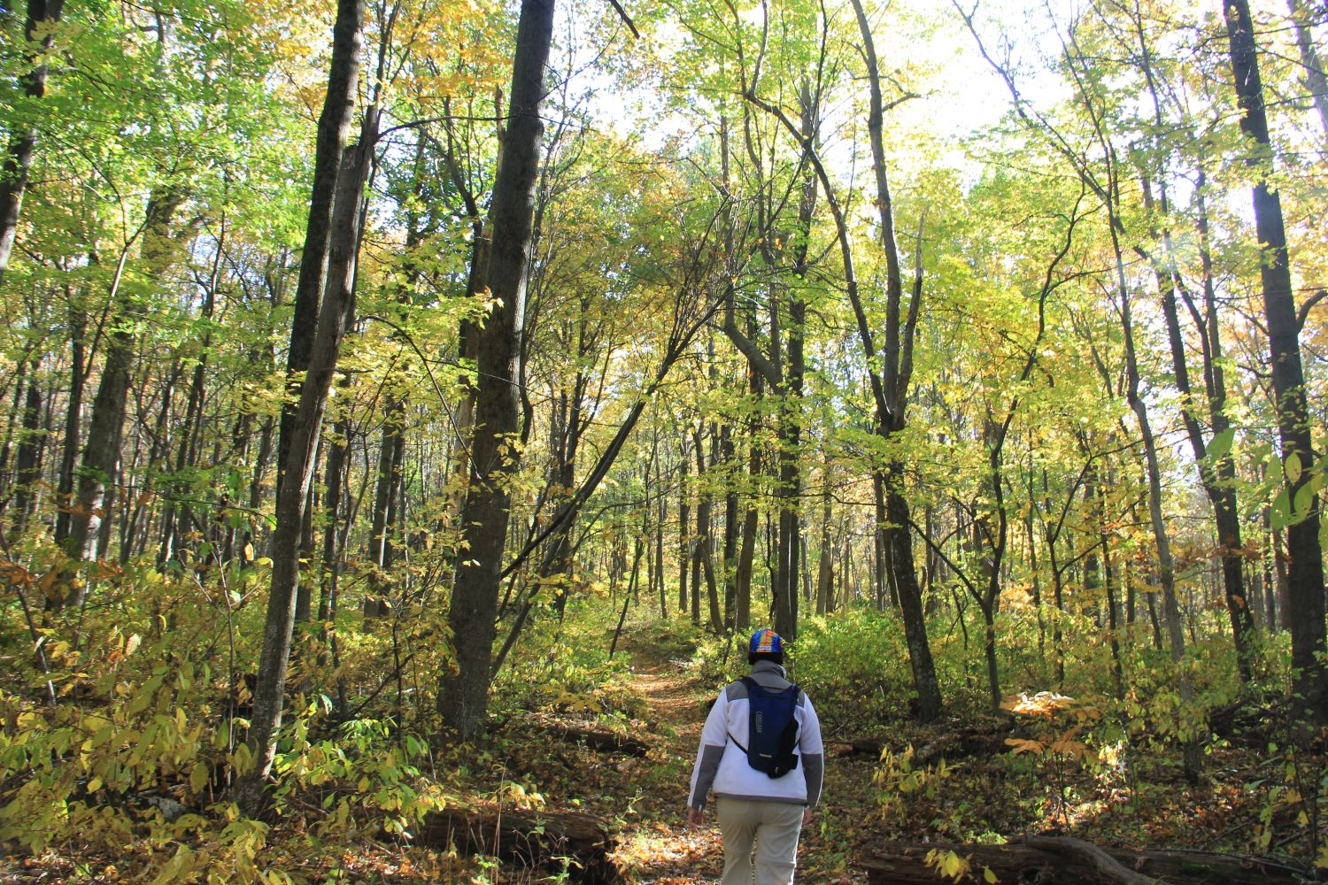 Appalachian Trail 